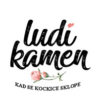 ludi kamen logo